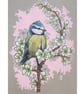 Blue Tit with Spring Blossom, original artwork, small drawing, bird art