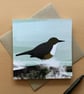 Greetings card - birds - wildlife card