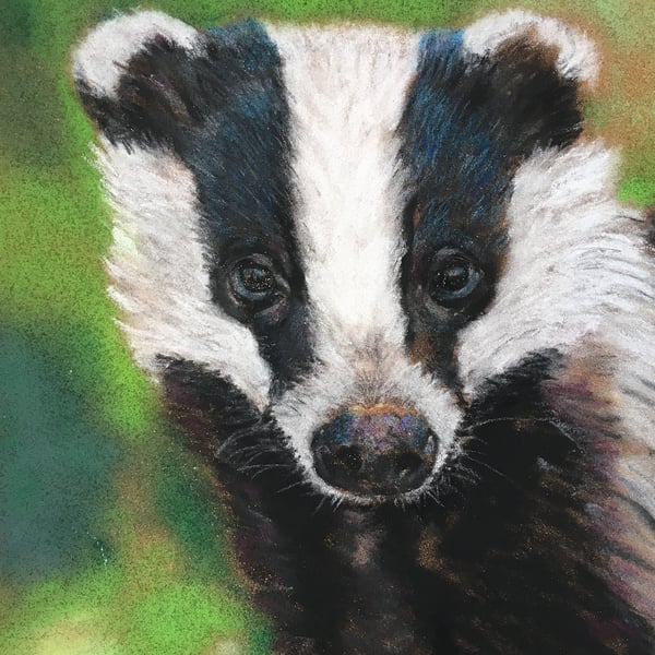 Characterful giclee print of 'Young Badger' painting