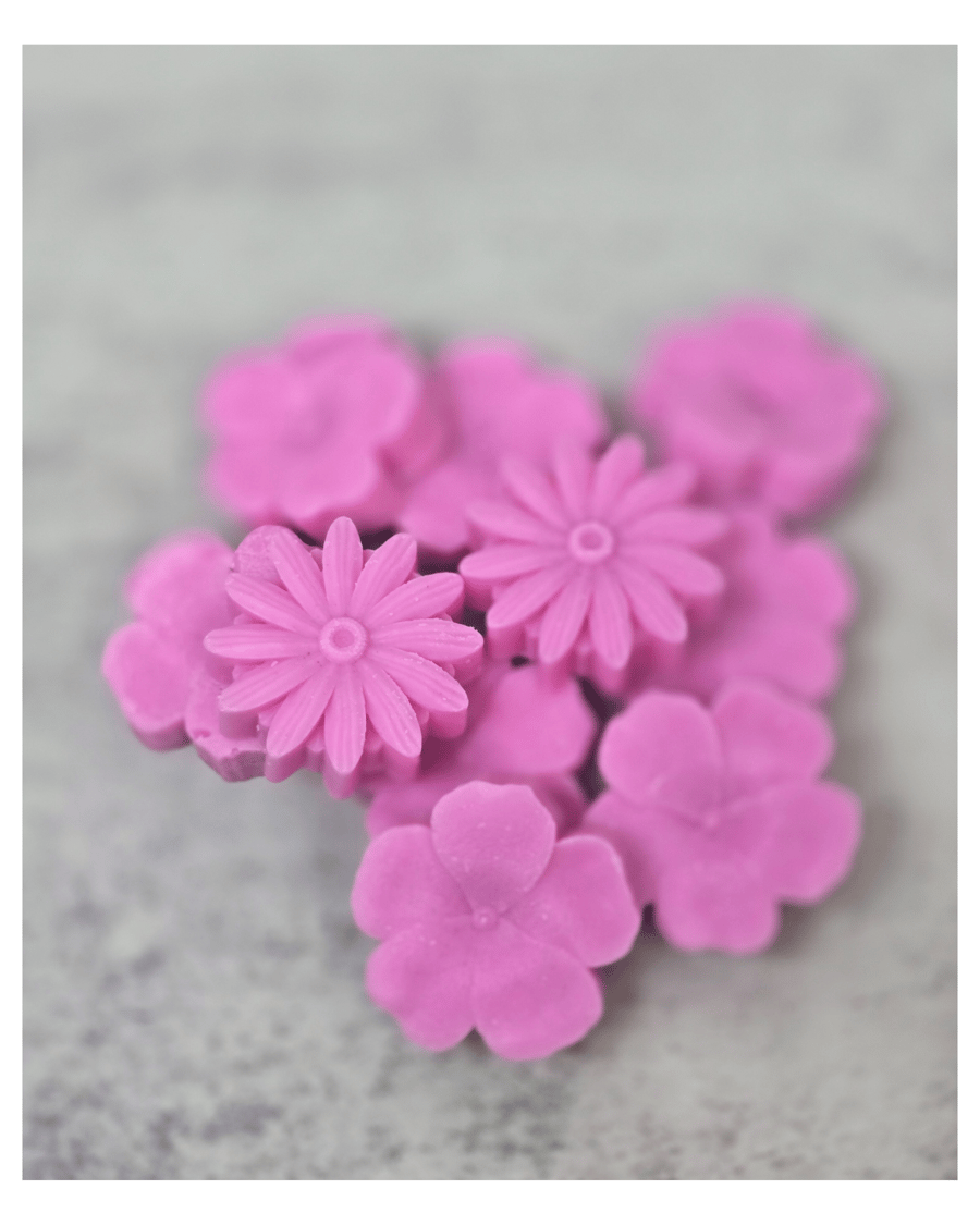 Grape Grove Vine - Soya with Cypress, grapevines and Moss