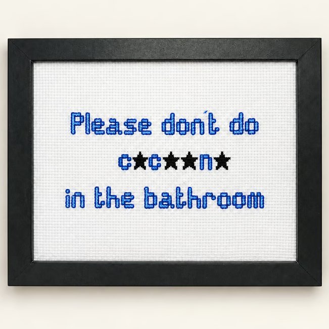 Funny Handmade Framed Cross-Stitch – Please Don't Do C.c..n. in the Bathroom 