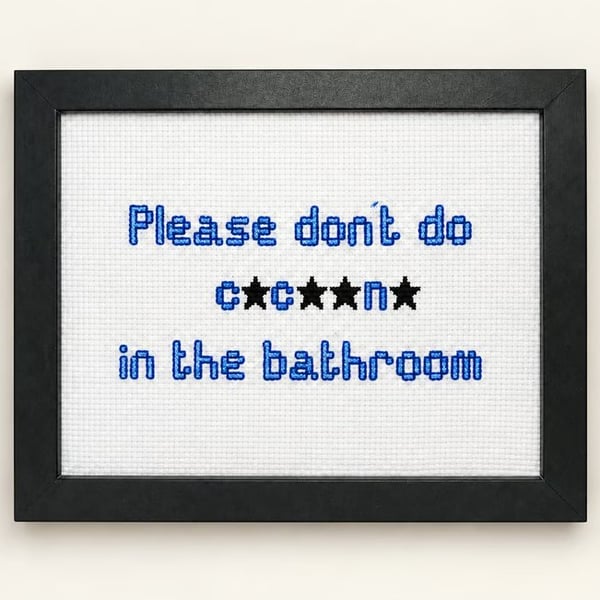 Funny Handmade Framed Cross-Stitch – Please Don't Do C.c..n. in the Bathroom 