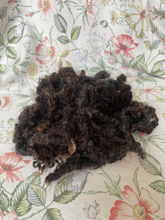 Wensleydale Curly Locks - Natural Dark