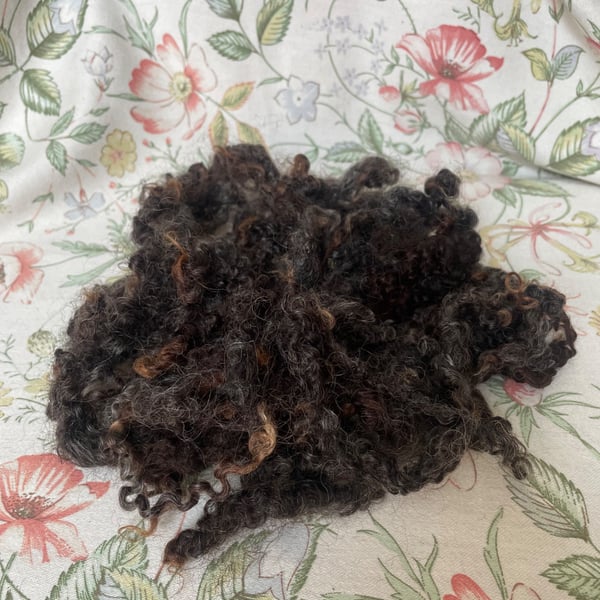 Wensleydale Curly Locks - Natural Dark