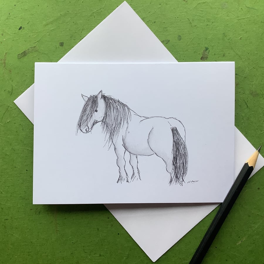 Highland pony card - greetings card. Blank inside.