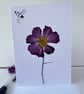 Handmade Real Pressed Flower Cosmos and Bee Greeting Card - Image 4