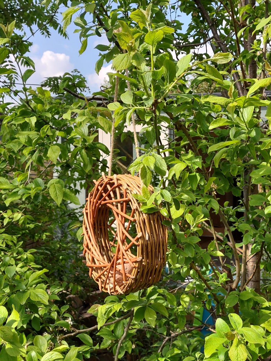 Willow bird feeder for a window or tree, bird food and postage included.