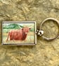 Highland Cow Keyring