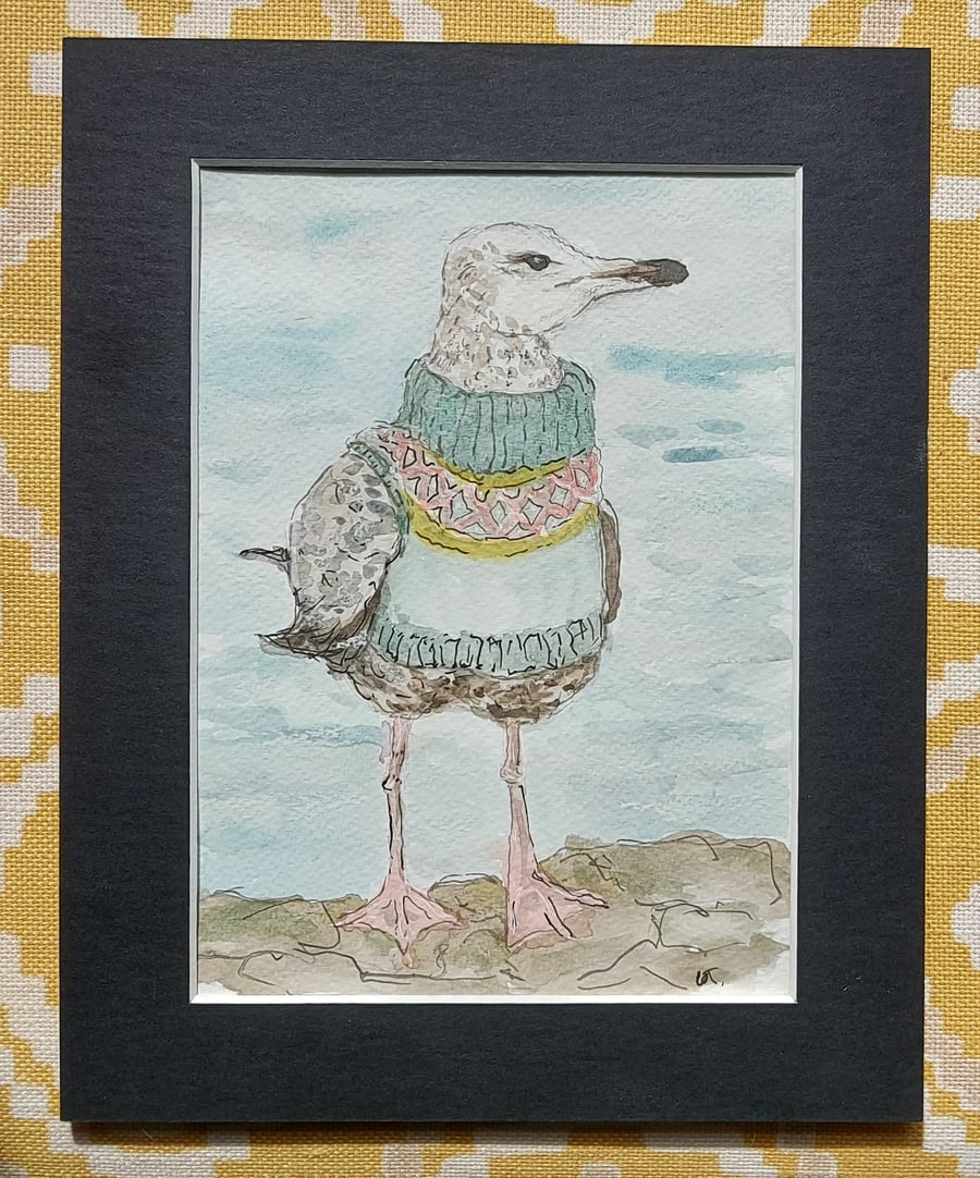 Iceland Gull- original illustration in mount