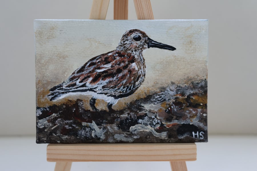 Dunlin Mini Painting