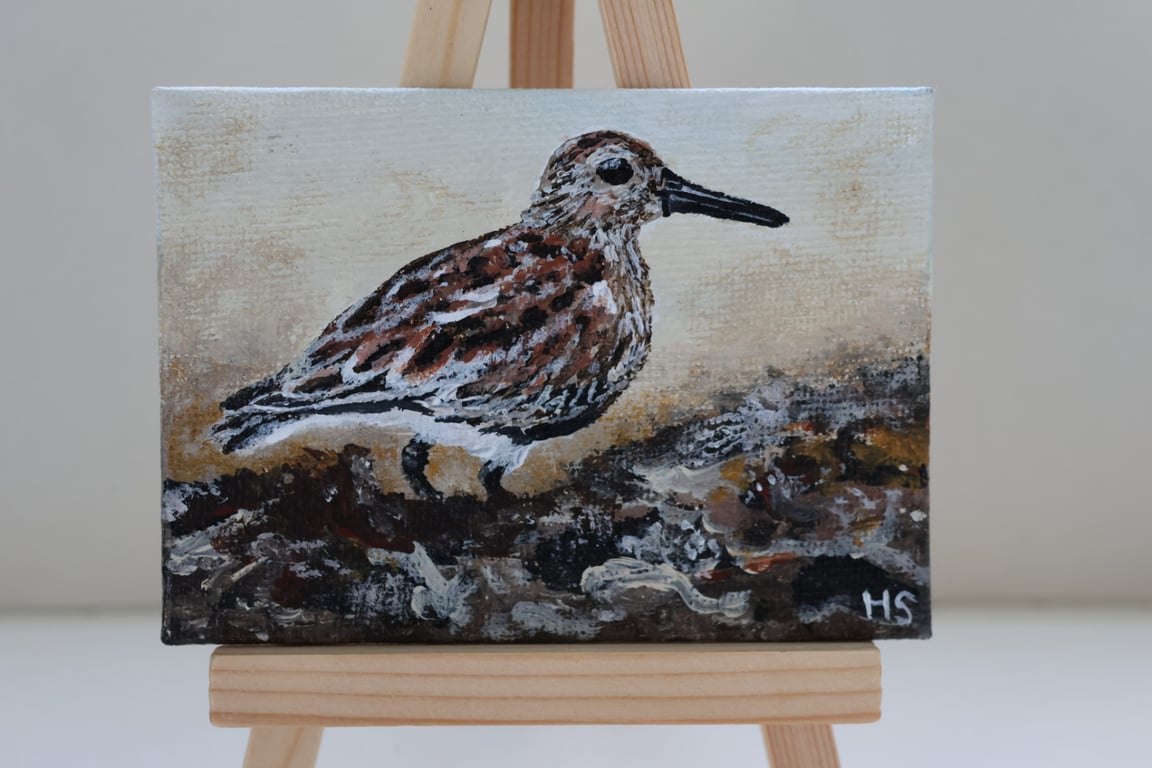 Dunlin Mini Painting