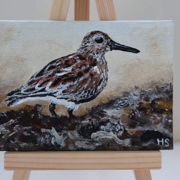 Dunlin Mini Painting