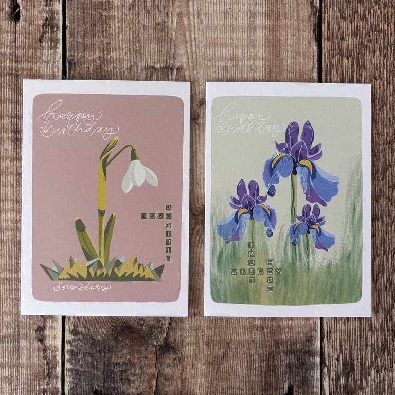Birthday Cards : Set of Twelve Birth Flower Cards and Sticker Sheet