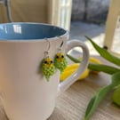 Green budgie earrings with sterling silver ear hooks 