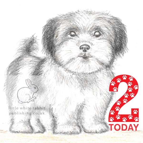 Dylan the Little Dog - 2 Today Card
