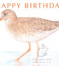 Redshank - Birthday Card - Image 2