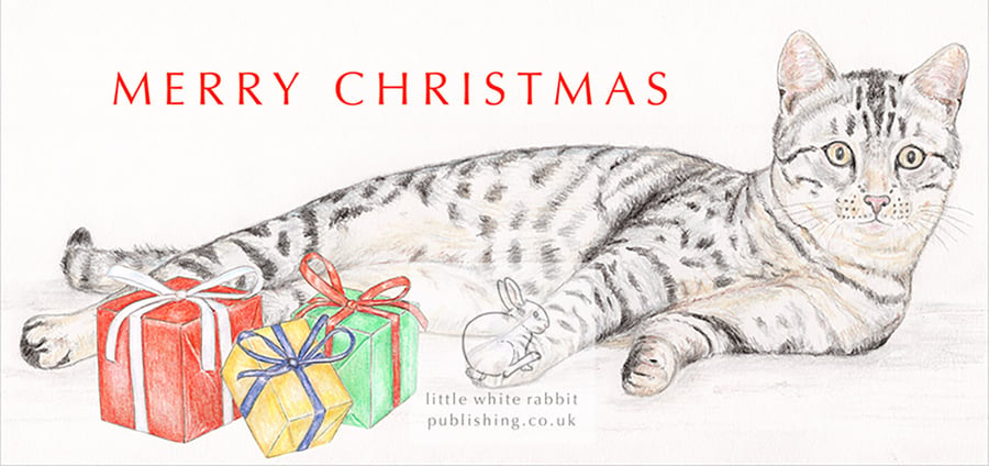 Lottie the Cat - Christmas Card