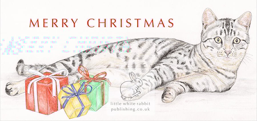 Lottie the Cat - Christmas Card