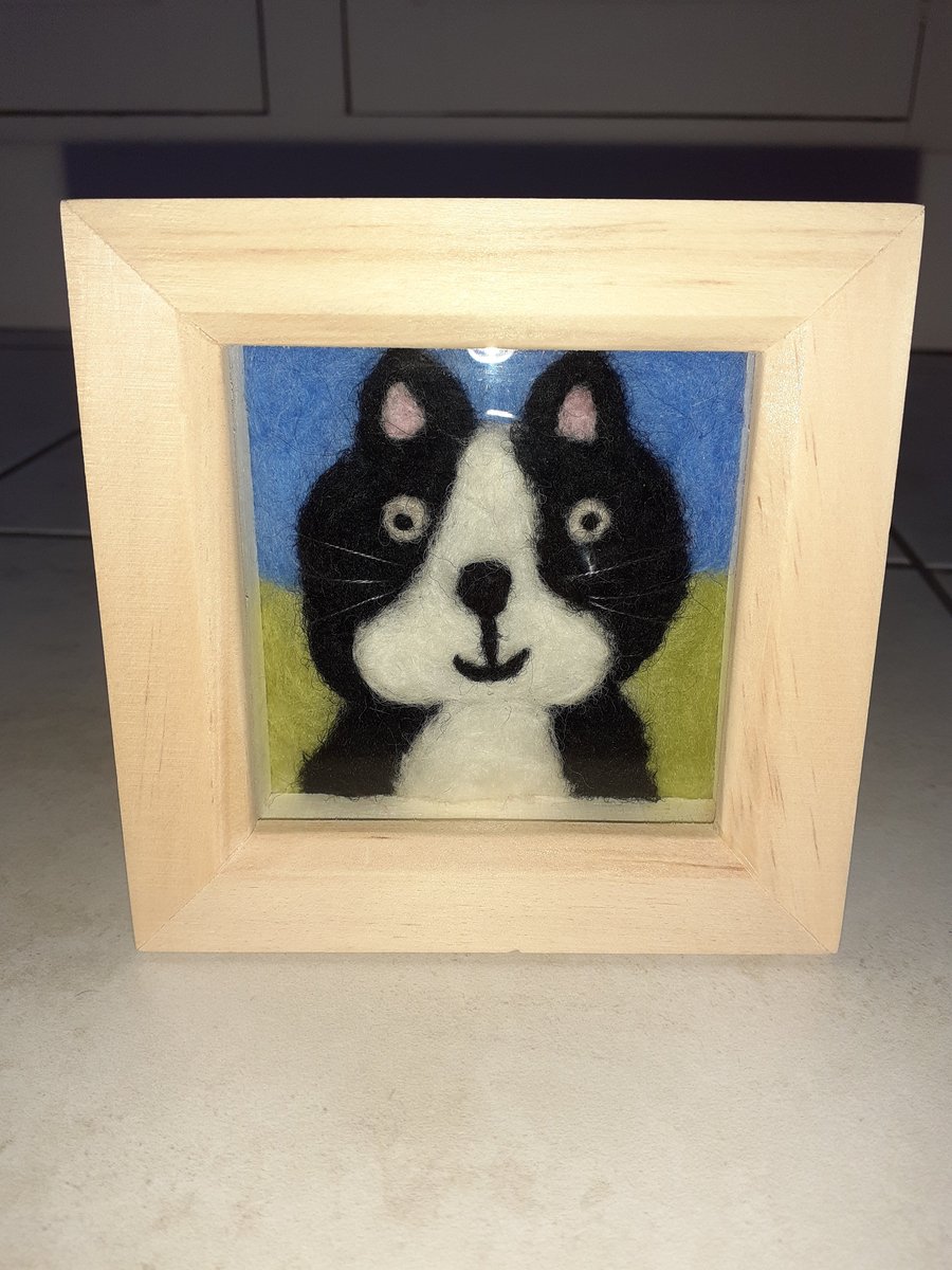 Needle Felted Black and White Cat Picture