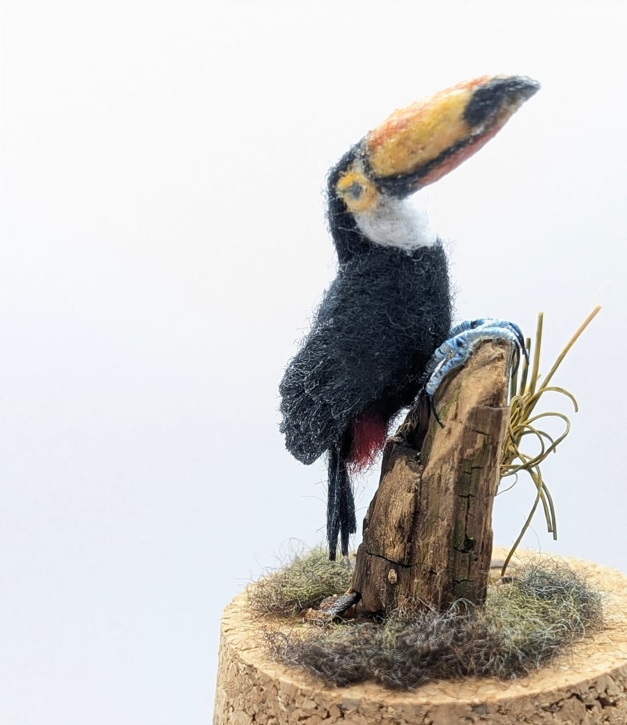 Tiny needle felt Toucan Bird in a Gift Box