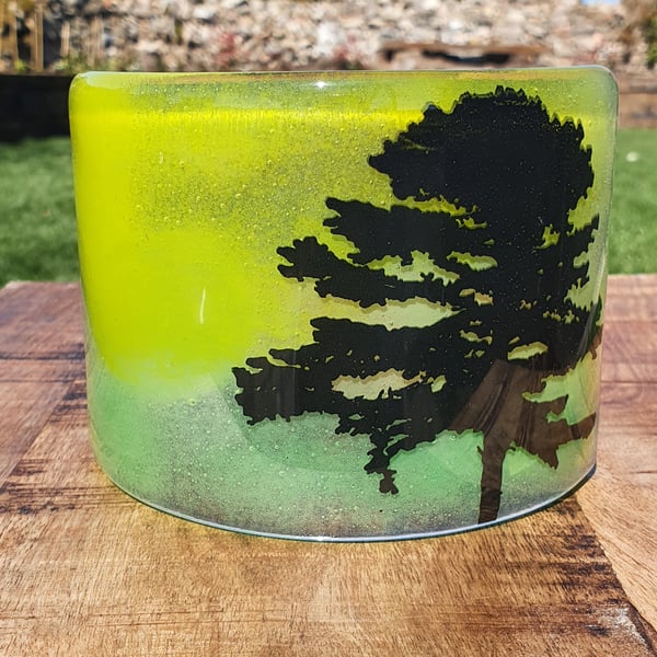 Fused Glass 'Old Oak Tree' Curve Panel