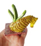 Seahorse Mini Ceramic Sculpture - Hand Built - Image 2