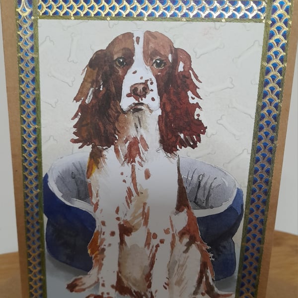 CUTE BLANK CARD WITH A SPANIEL DOG.