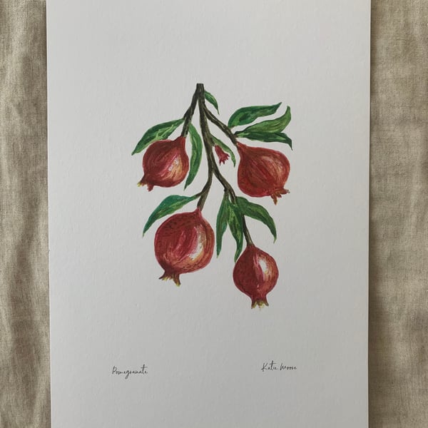Pomegranate A4 Eco-Friendly Art Print