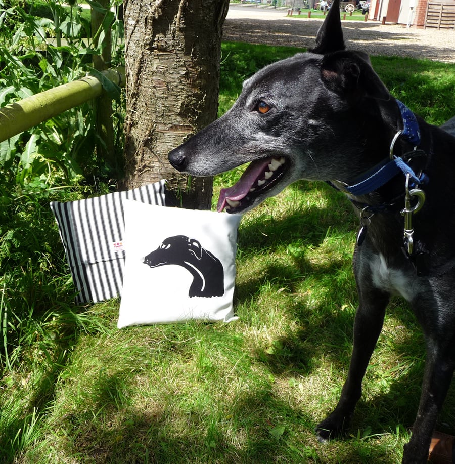 Greyhound Cushion
