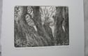 Drypoint etchings