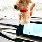 Pup replica car charms 