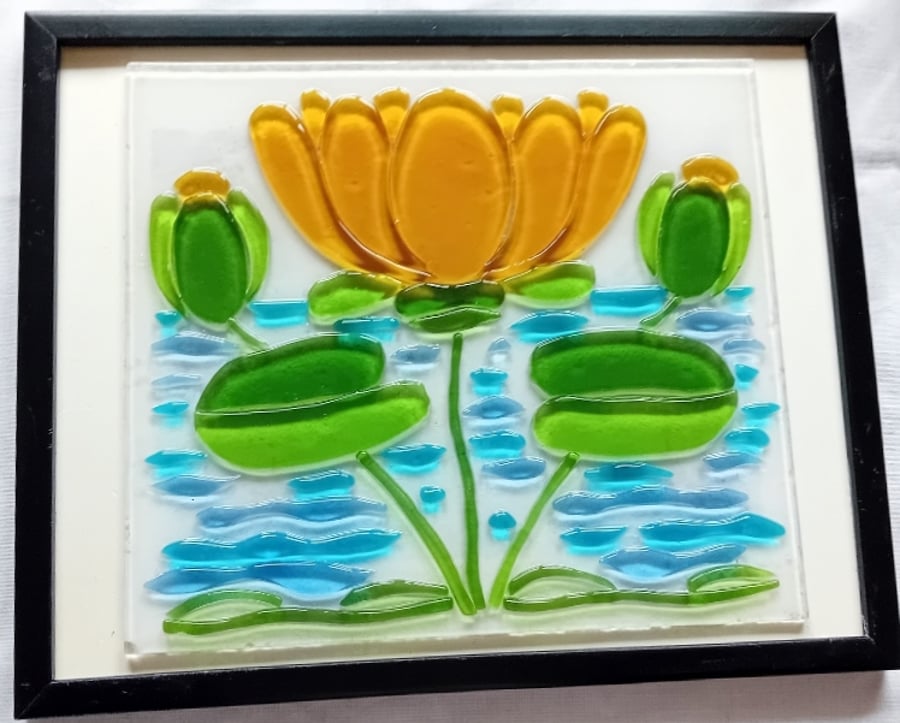 Water Lilly