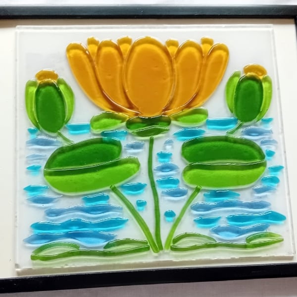 Water Lilly