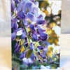 Wisteria flower - photography greeting card
