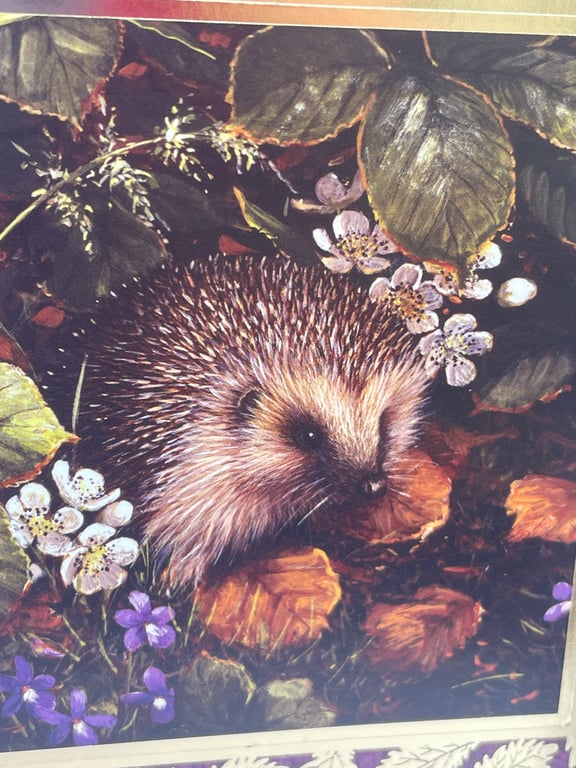 Cosy hedgehog Happy Birthday gate fold card