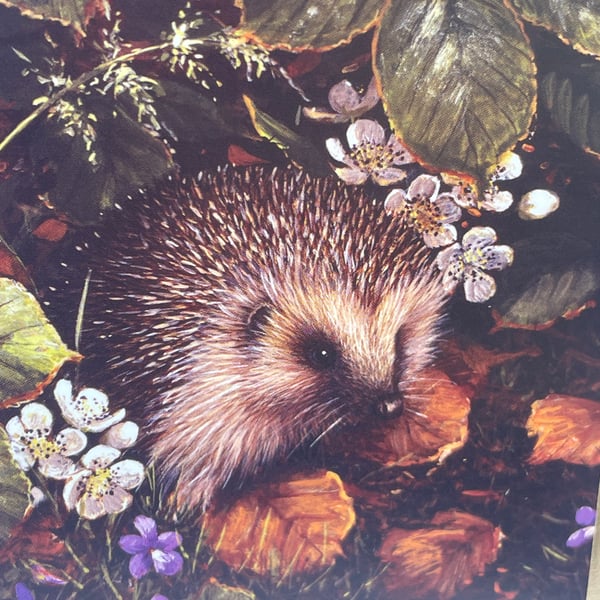 Cosy hedgehog Happy Birthday gate fold card