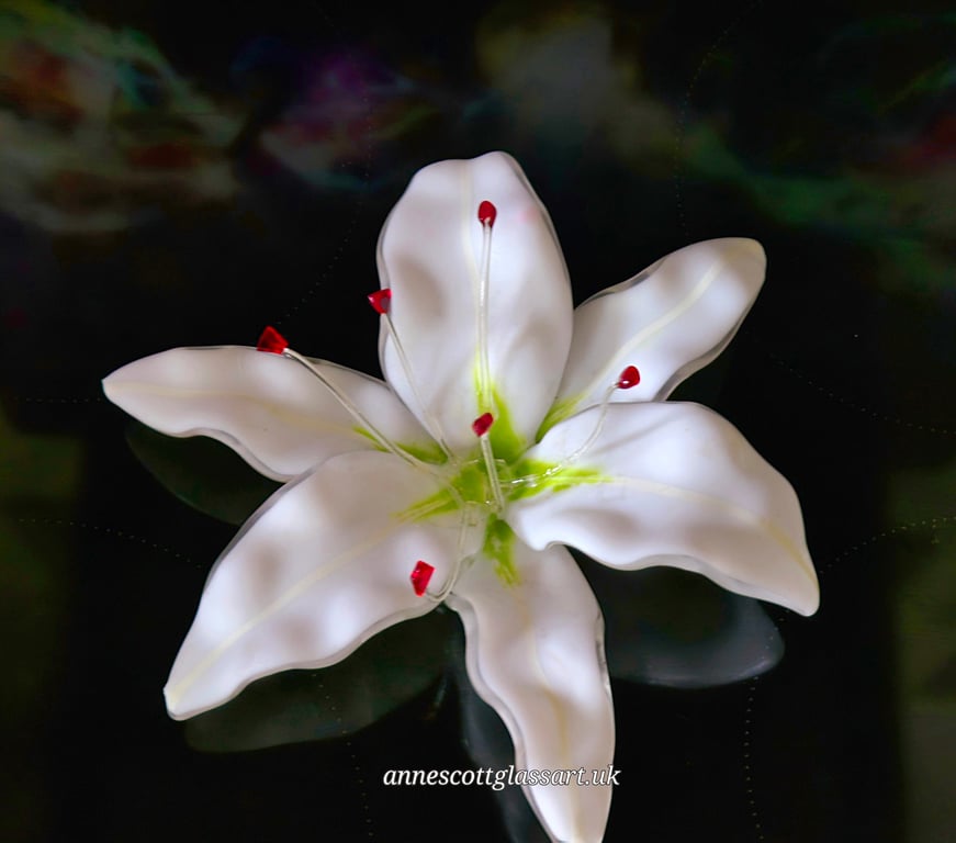 Handmade Fused Glass White Matte Lily No 1 of 3 with Wall-mounting Bracket. 