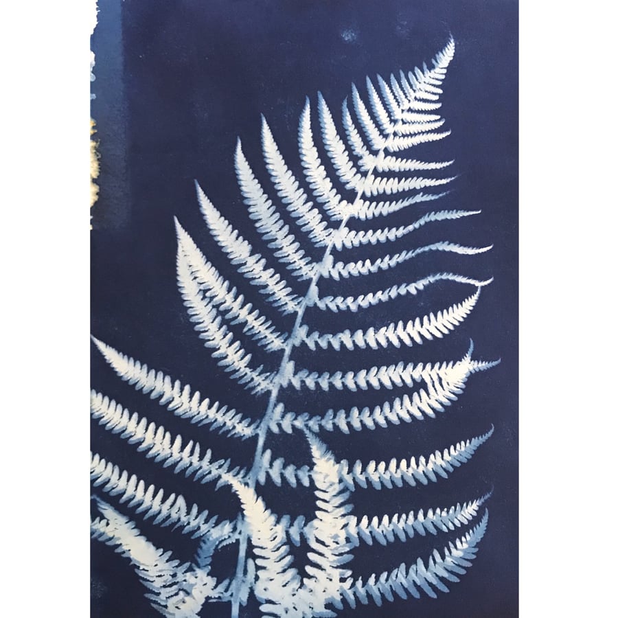 FERN I, unique nature blue print A4
