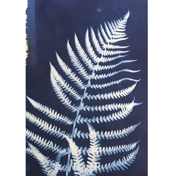 FERN I, unique nature blue print A4