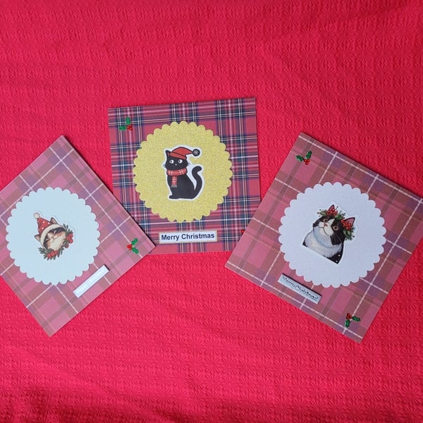 Tartan Cats Christmas Cards (pack of 3)