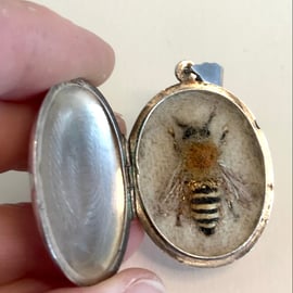 End of Summer Bee Locket - Ivy Bee in a vintage silver locket