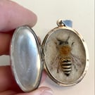 End of Summer Bee Locket - Ivy Bee in a vintage silver locket