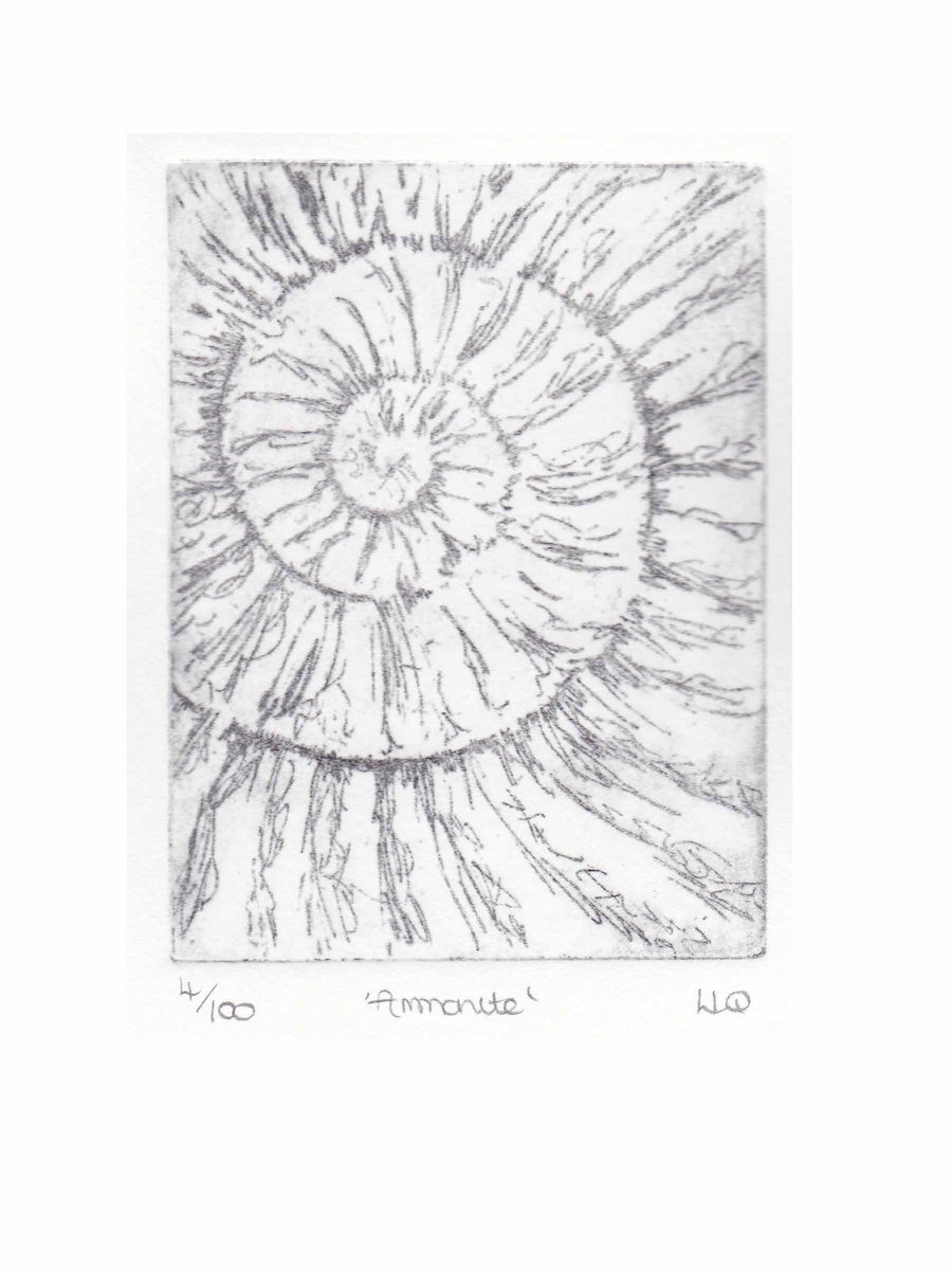 Etching no.4 of an ammonite fossil in an edition of 100