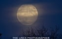Astro Photography