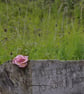 Handmade Felt Wool Flower Brooch - Image 7