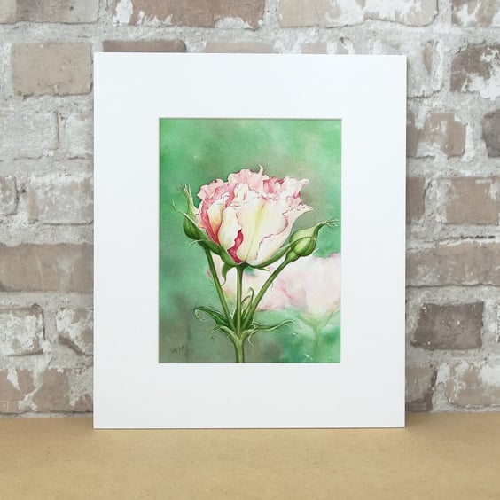Rose Art Watercolour Painting Floral Rose 'Eyes For You'