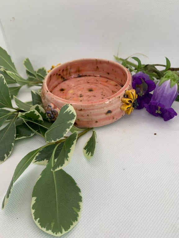 Pampered Pet feeding bowl - small but beautiful 