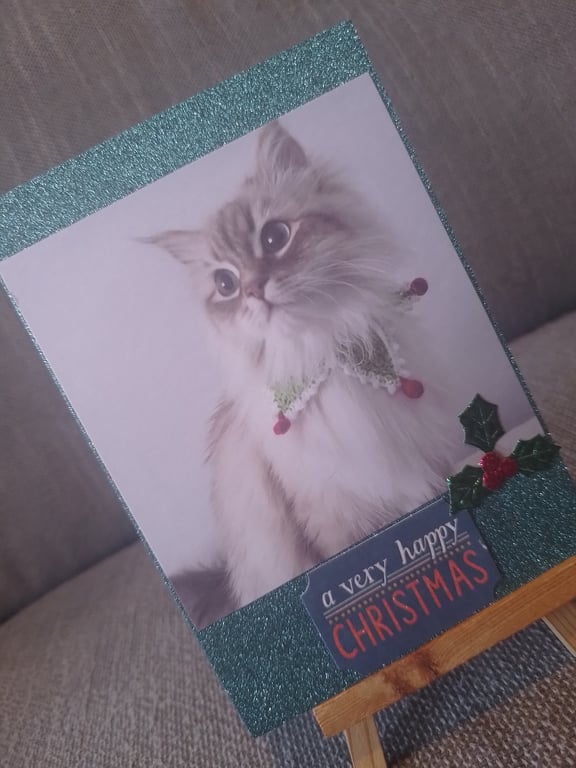 Christmas Cat handmade Card