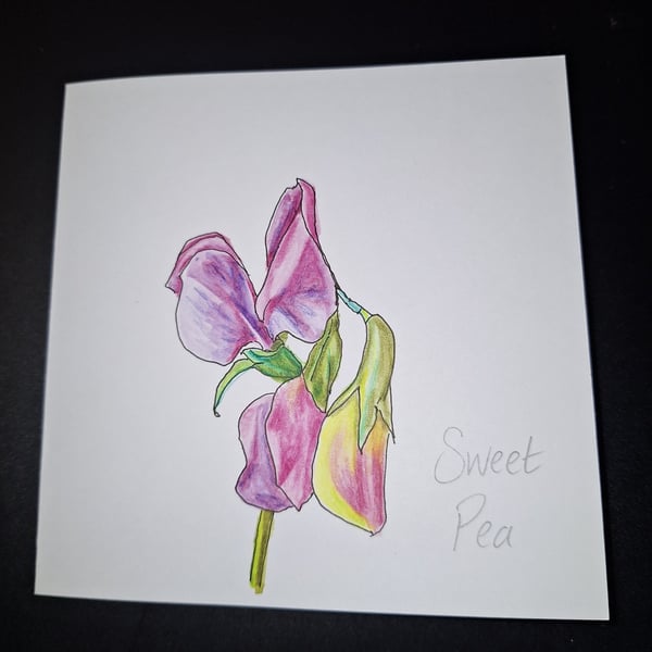 Original Handpainted Greetings Card- Sweet Pea