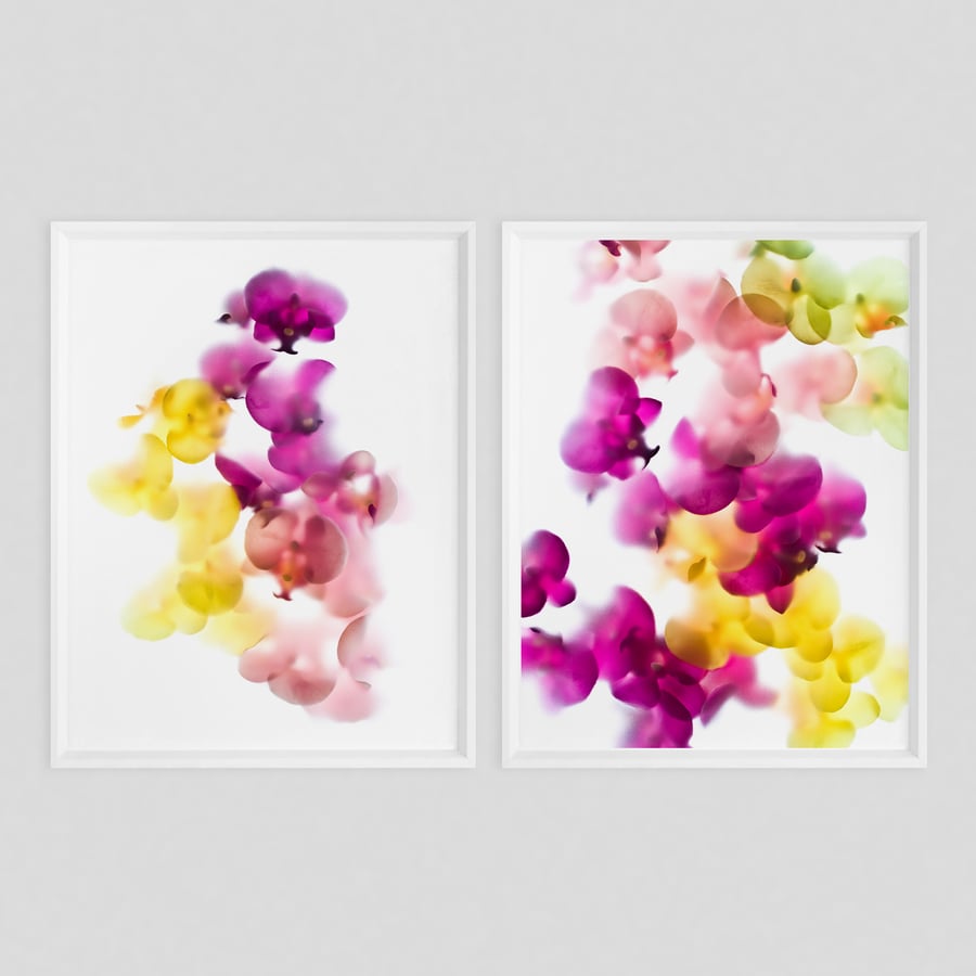 Orchids - Set of 2 floral wall art prints - Minimal botanical print set